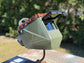 Pirarucu Top Jackson HSL-2